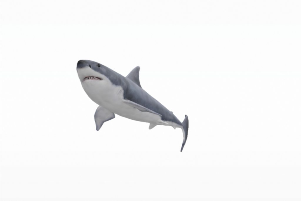Googleで検索した動物をAR表示する機能で呼び出したサメ