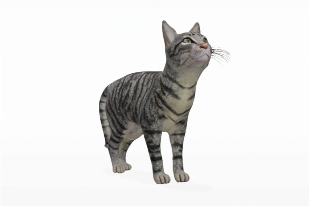 Googleで検索した動物をAR表示する機能で呼び出した猫