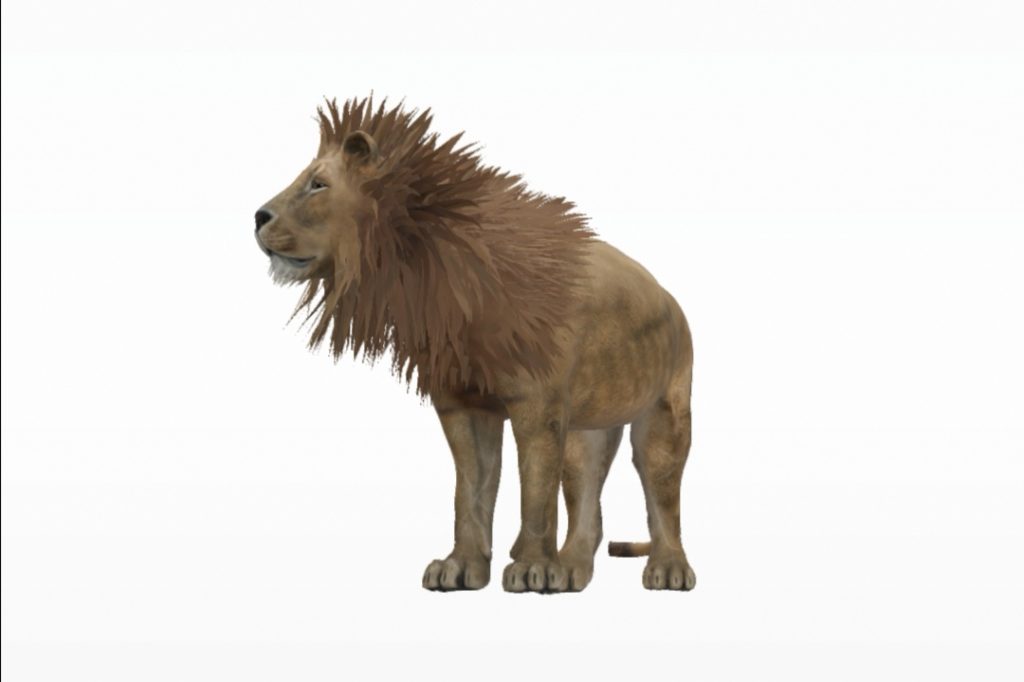 Googleで検索した動物をAR表示する機能で呼び出したライオン