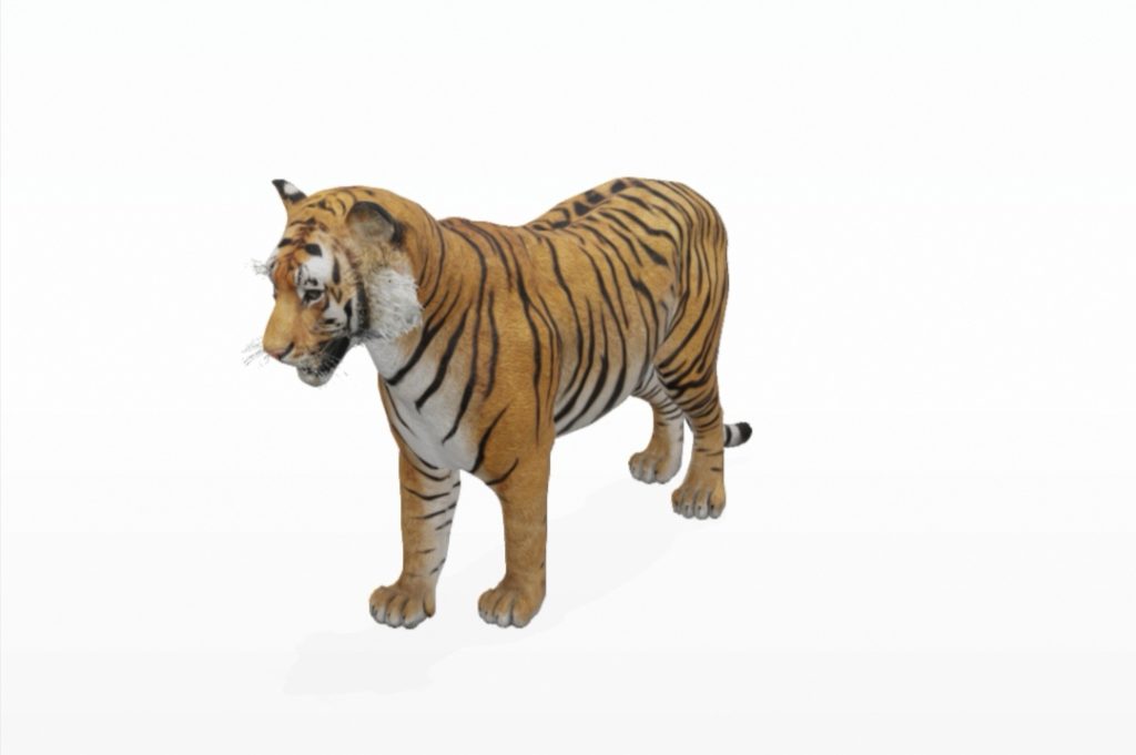 Googleで検索した動物をAR表示する機能で呼び出したトラ