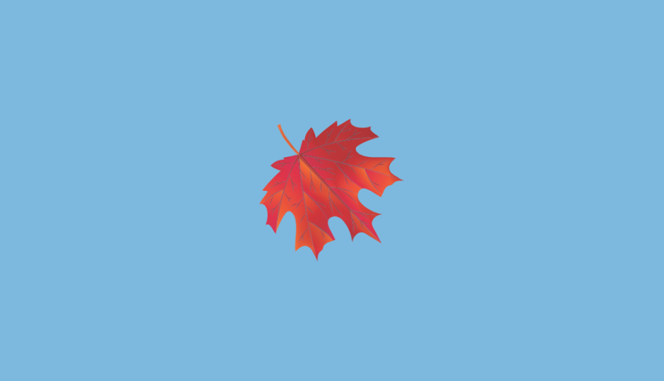 秋になると葉が紅葉するメカニズム Yukishi Log